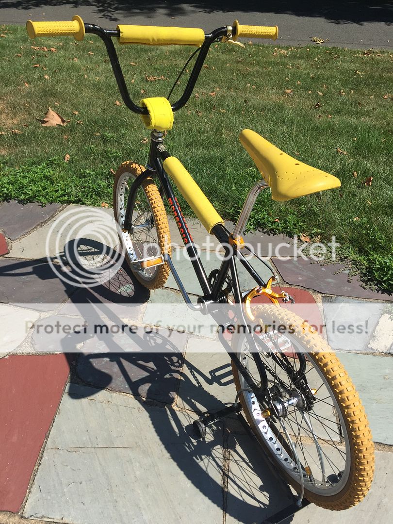 mongoose la familia frame