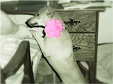 AliWorkRandom036.jpg image by DestinyF