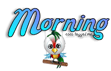 004_parrotMorning.gif