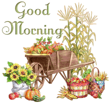 Good Morning Pictures, Images and Photos