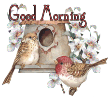 BirdCutiesGoodMorning33433444.gif