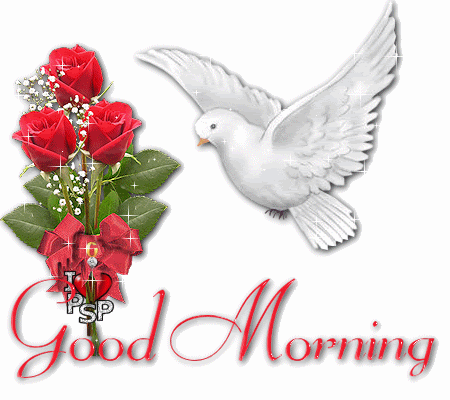 Good Morning Pictures, Images and Photos