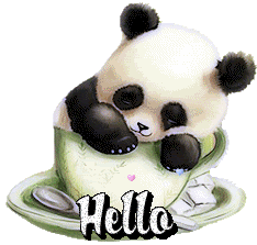 Panda-hello.gif