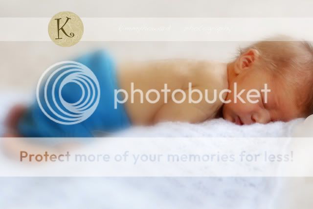 IMG_0190a.jpg picture by kimmyhowardphotography