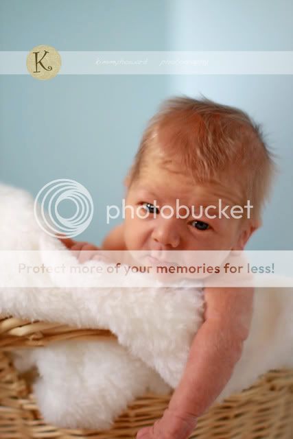 IMG_9952.jpg picture by kimmyhowardphotography