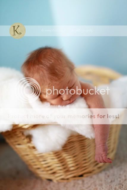 IMG_9958.jpg picture by kimmyhowardphotography