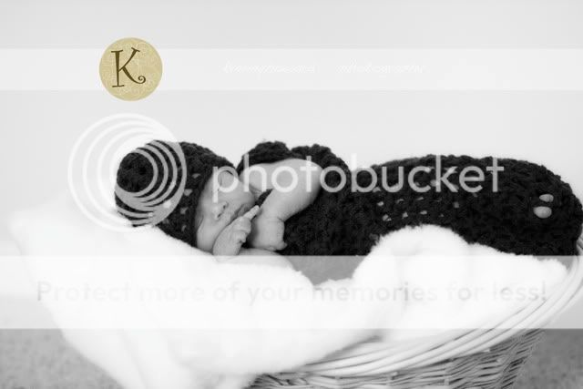 IMG_9994a.jpg picture by kimmyhowardphotography