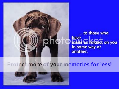 w17.jpg picture by ucmahesh1