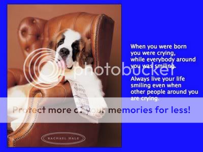 w7-1.jpg picture by ucmahesh1