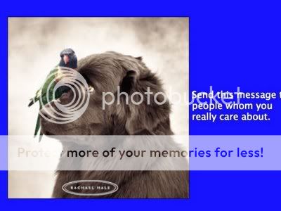 w8-2.jpg picture by ucmahesh1