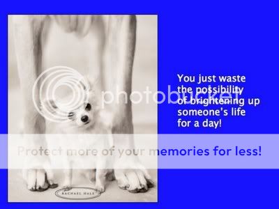 w9-2.jpg picture by ucmahesh1