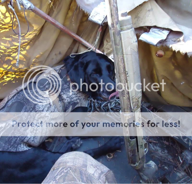 gun holders Duck Hunting Forum