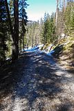  photo 20150419_153135.jpg