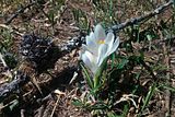 photo 20150421_140645.jpg