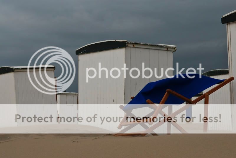 Fotografie