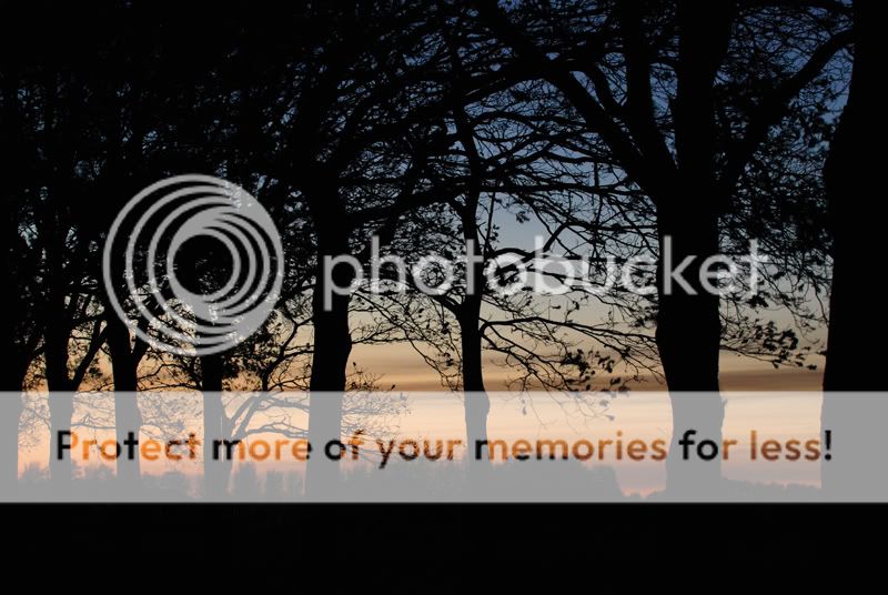 Fotografie