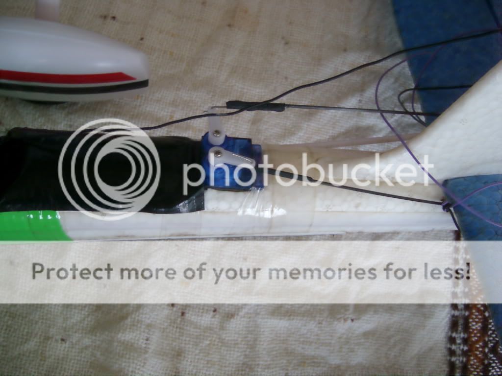 SL731657.jpg
