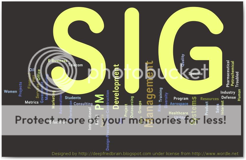 PMI SIGs PMI SIGs