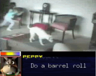 Forum Image: http://i588.photobucket.com/albums/ss330/Lahtiirah/Barrel_Roll.gif